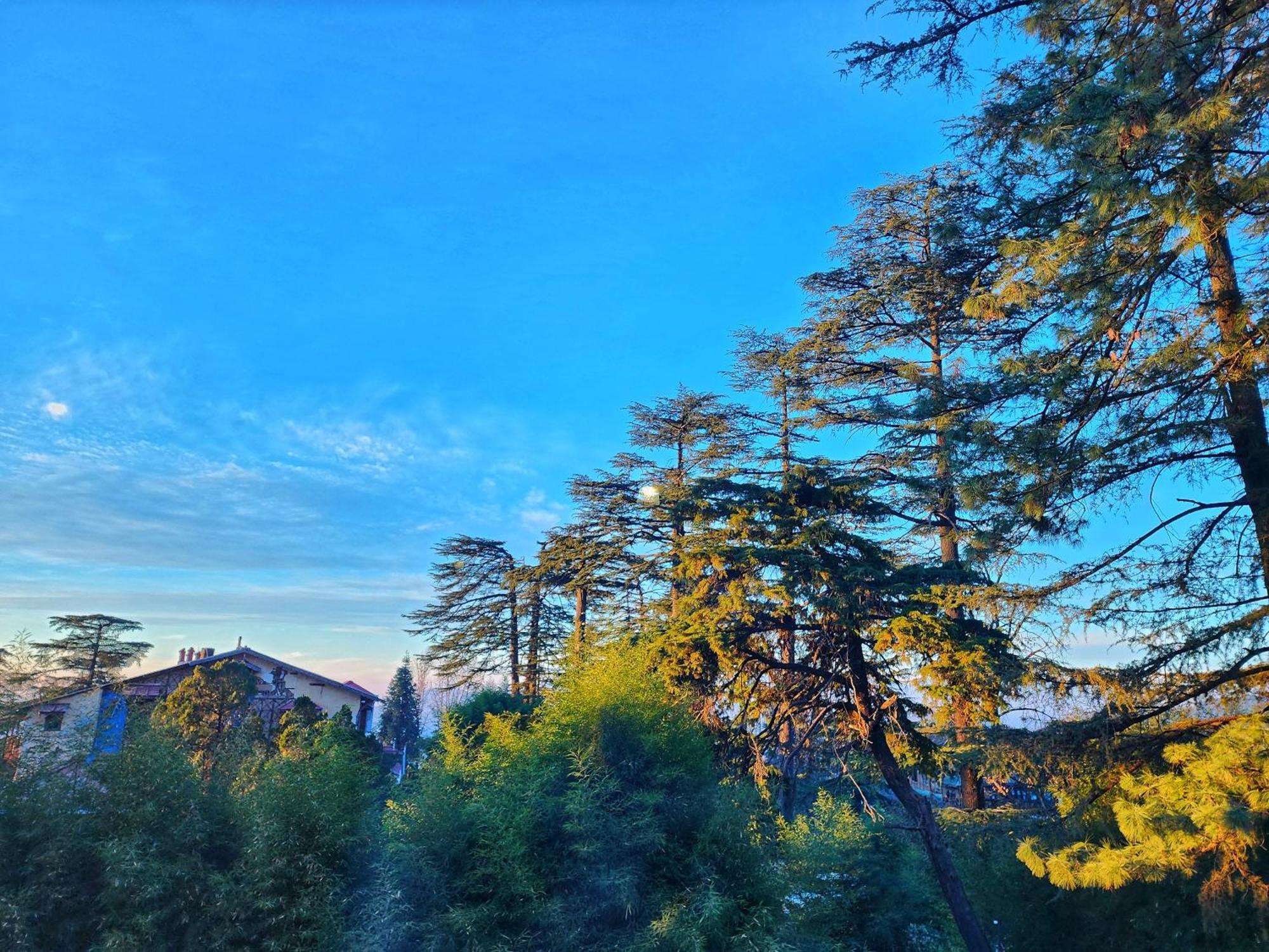 Hotel Pineview Shimla Esterno foto
