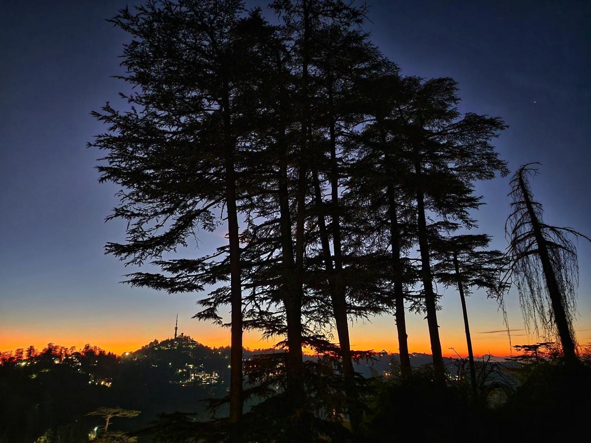 Hotel Pineview Shimla Esterno foto