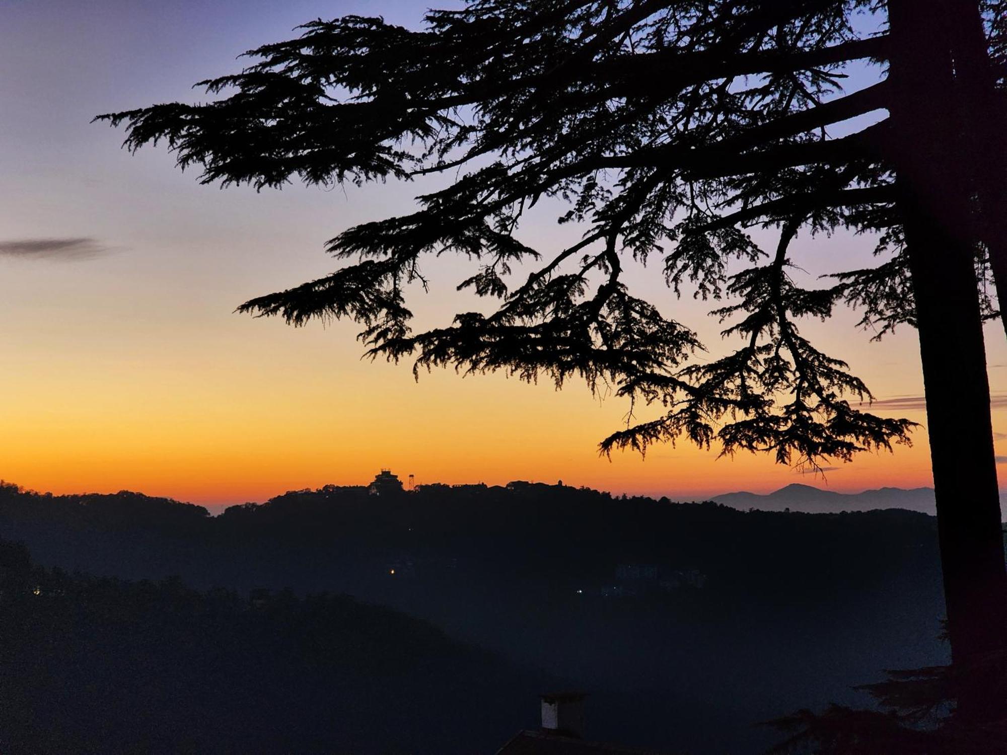 Hotel Pineview Shimla Esterno foto